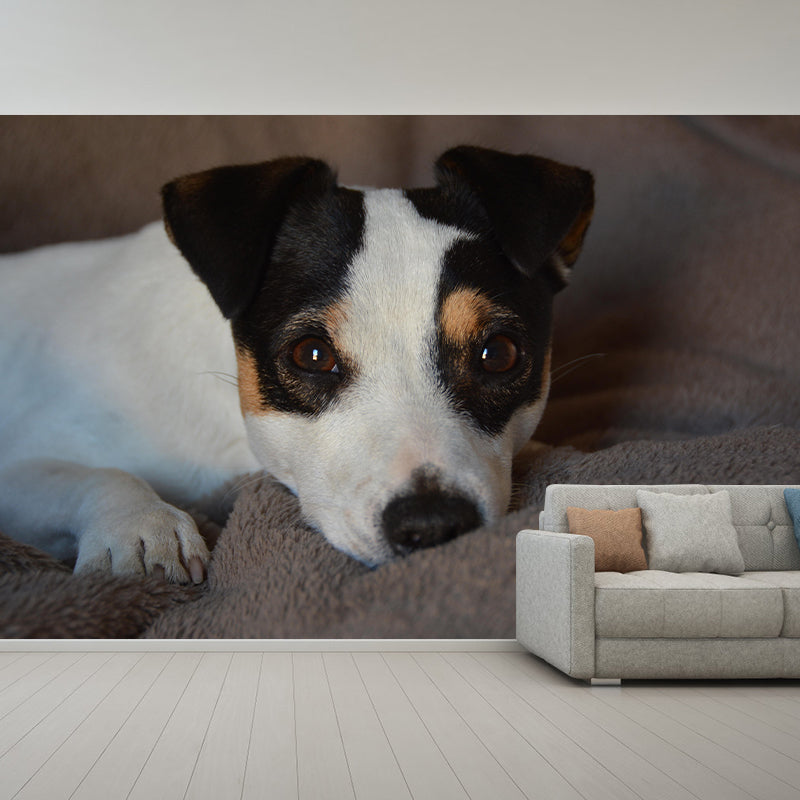 Horizontal Photography Lovely Dog Mural Stain Resistant Wall Art for Living Room