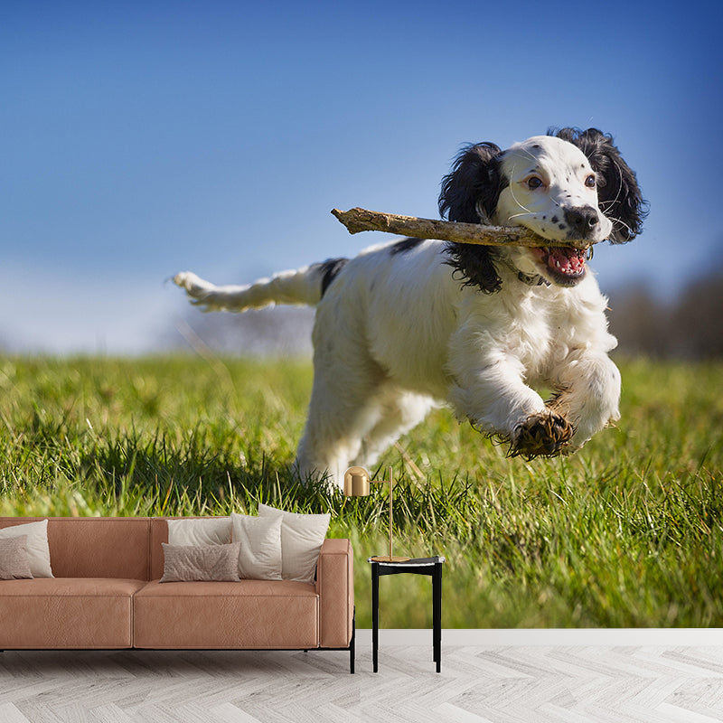 Horizontal Photography Cocker Spaniel Mural Stain Resistant Wall Art for Living Room