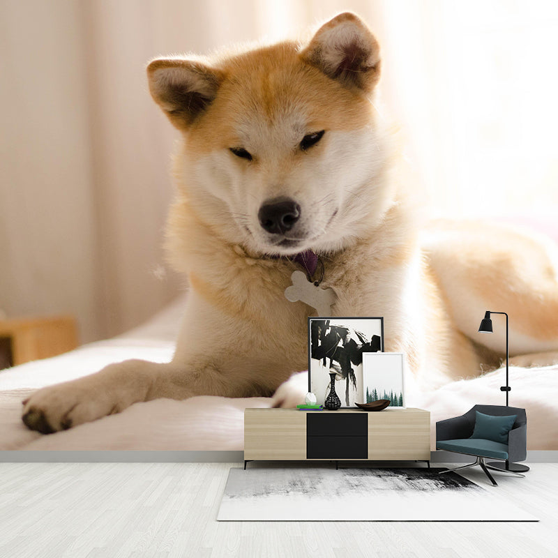 Horizontal Photography Akita Dog Mural Stain Resistant Wall Art for Living Room