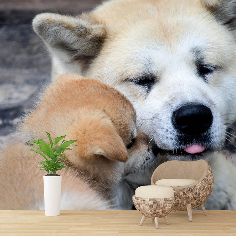 Horizontal Photography Akita Dog Mural Stain Resistant Wall Art for Living Room