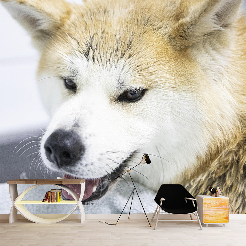 Horizontal Photography Akita Dog Mural Stain Resistant Wall Art for Living Room