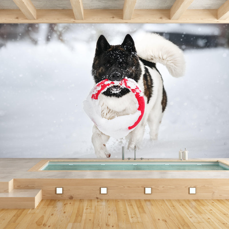 Horizontal Photography Akita Dog Mural Stain Resistant Wall Art for Living Room