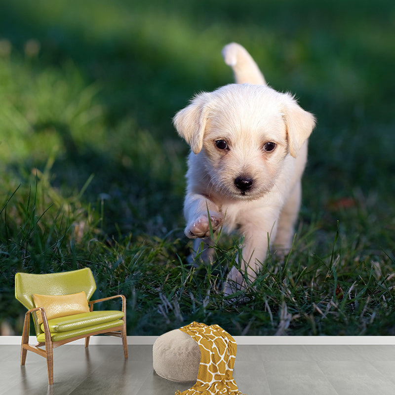 Horizontal Photography Puppy Mural Stain Resistant Wall Art for Living Room
