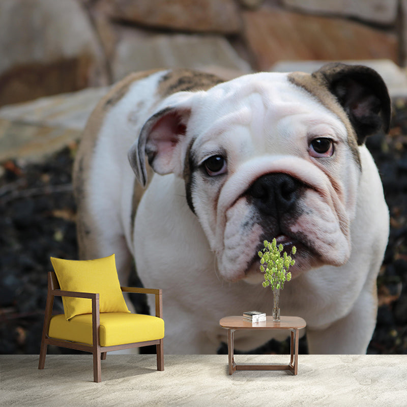 Horizontal Photography English Bulldog Mural Stain Resistant Wall Art for Home