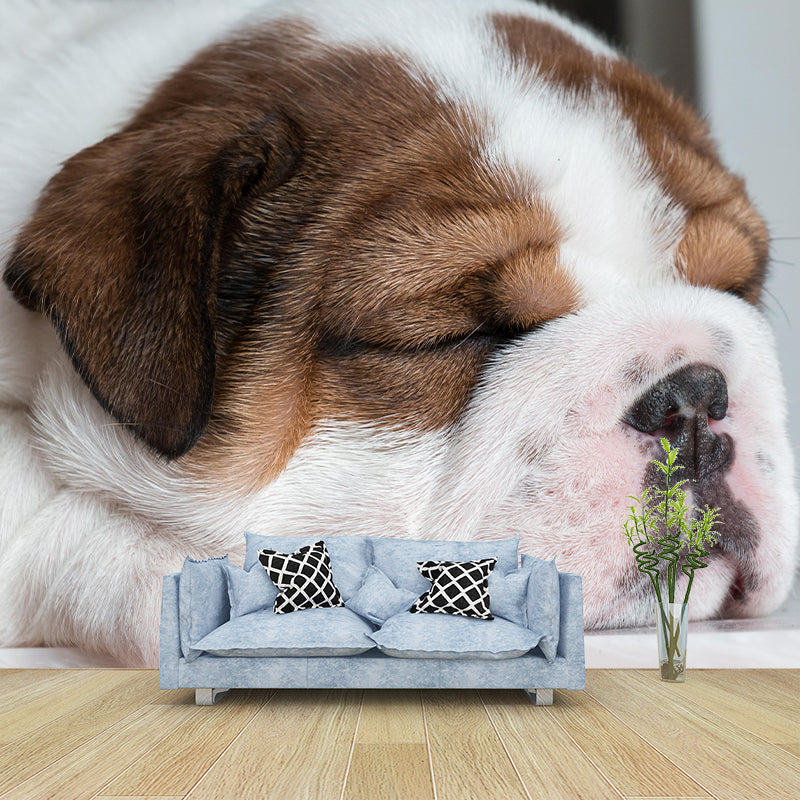 Horizontal Photography English Bulldog Mural Stain Resistant Wall Art for Home