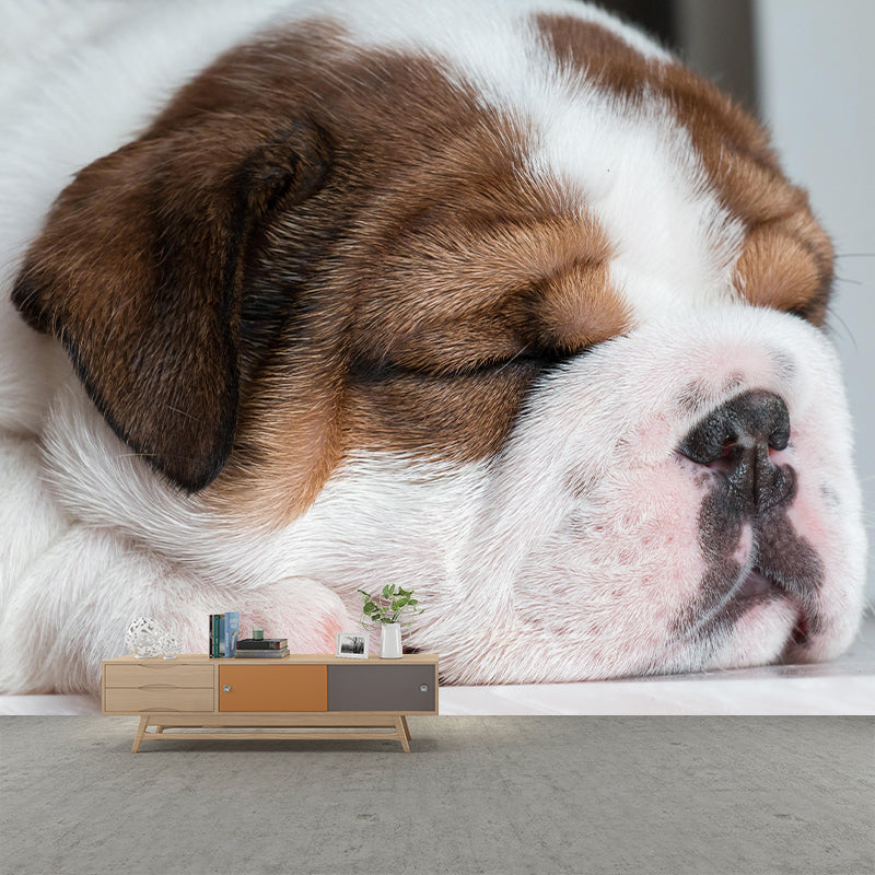 Horizontal Photography English Bulldog Mural Stain Resistant Wall Art for Home