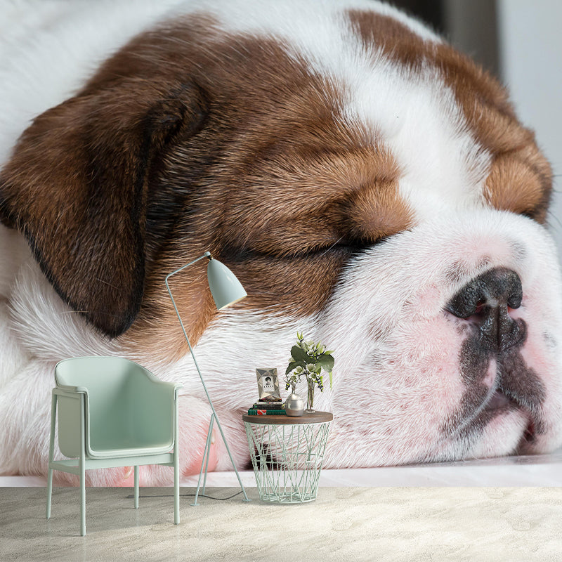 Horizontal Photography English Bulldog Mural Stain Resistant Wall Art for Home