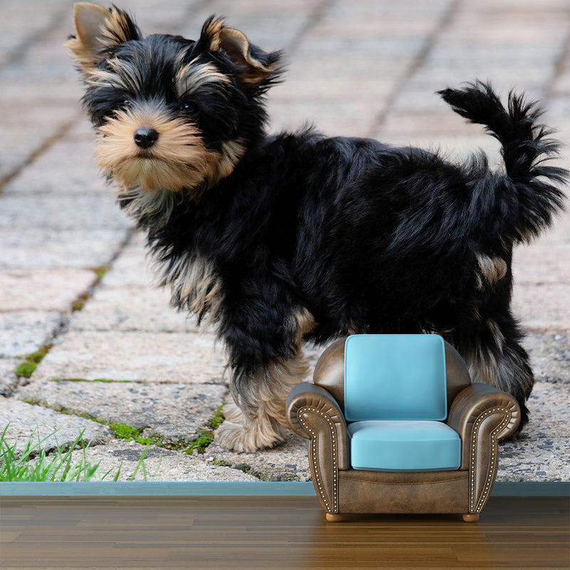 Horizontal Photography Yorkshire Terrier Mural Stain Resistant Wall Art for Bedroom