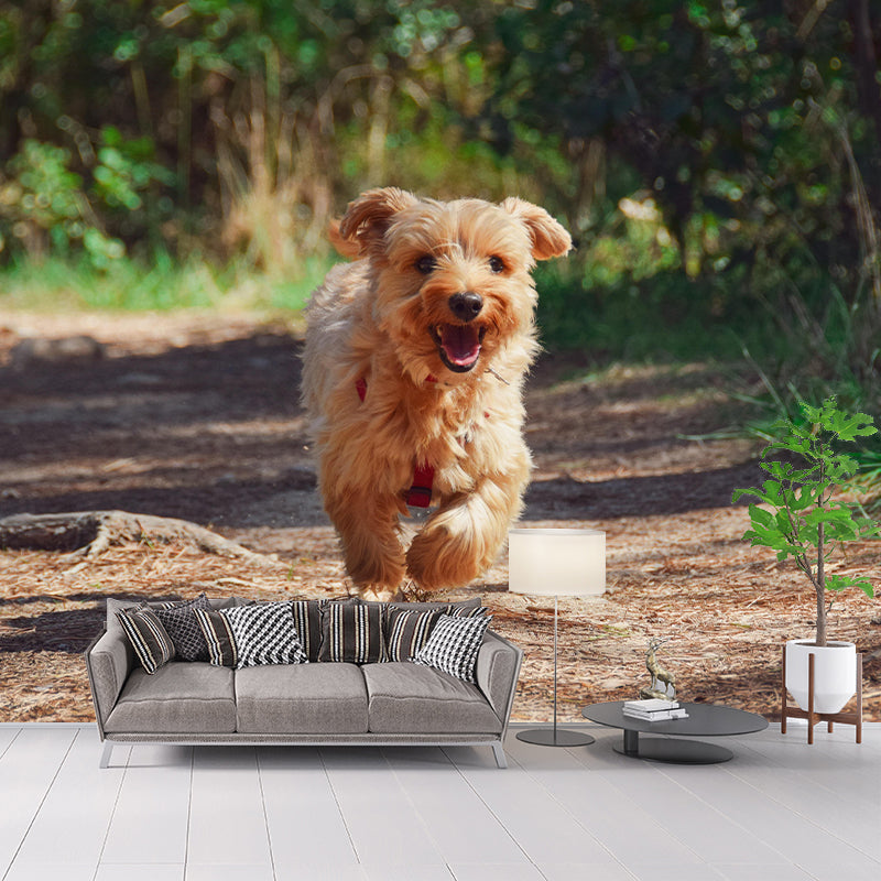 Horizontal Photography Yorkshire Terrier Mural Stain Resistant Wall Art for Bedroom