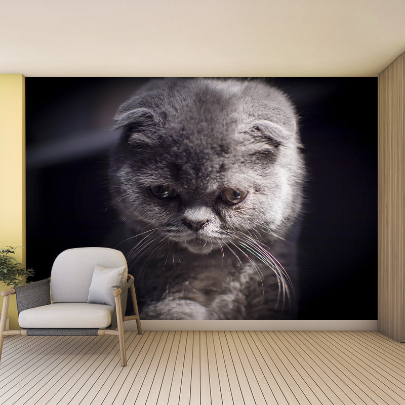 Contemporary Folds Cat Mural Environment Friendly Wall Art for Living Room