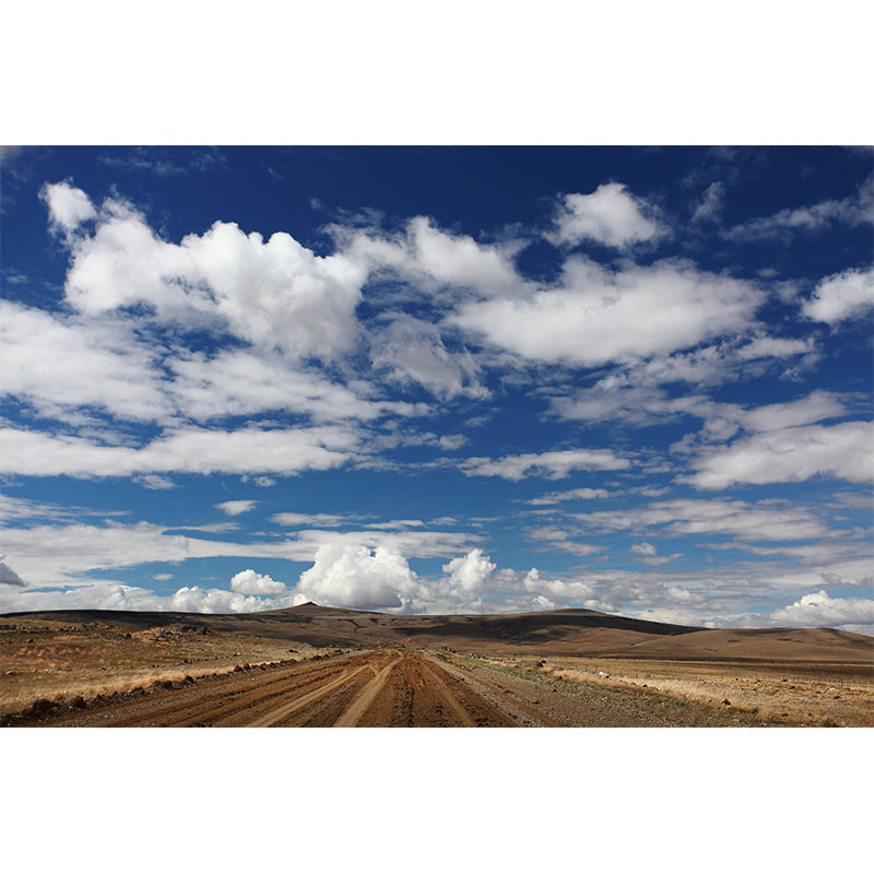 Horizontal Photography Sky Mural Soft Color Stain Resistant Wall Art for Home