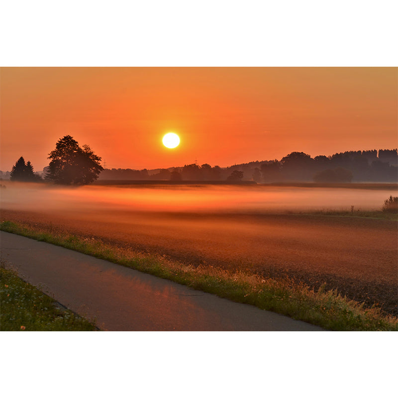 Horizontal Photography Sky Mural Soft Color Stain Resistant Wall Art for Bedroom