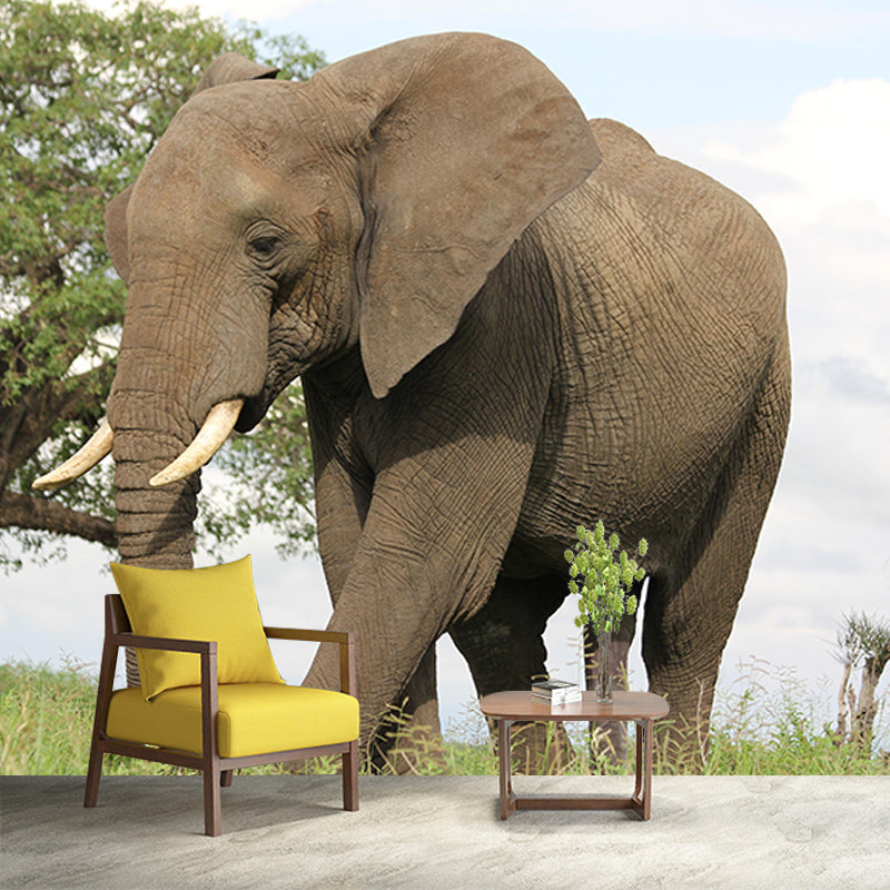Customized Elephant Wall Mural Horizontal Photography for Sleeping Room Decoration