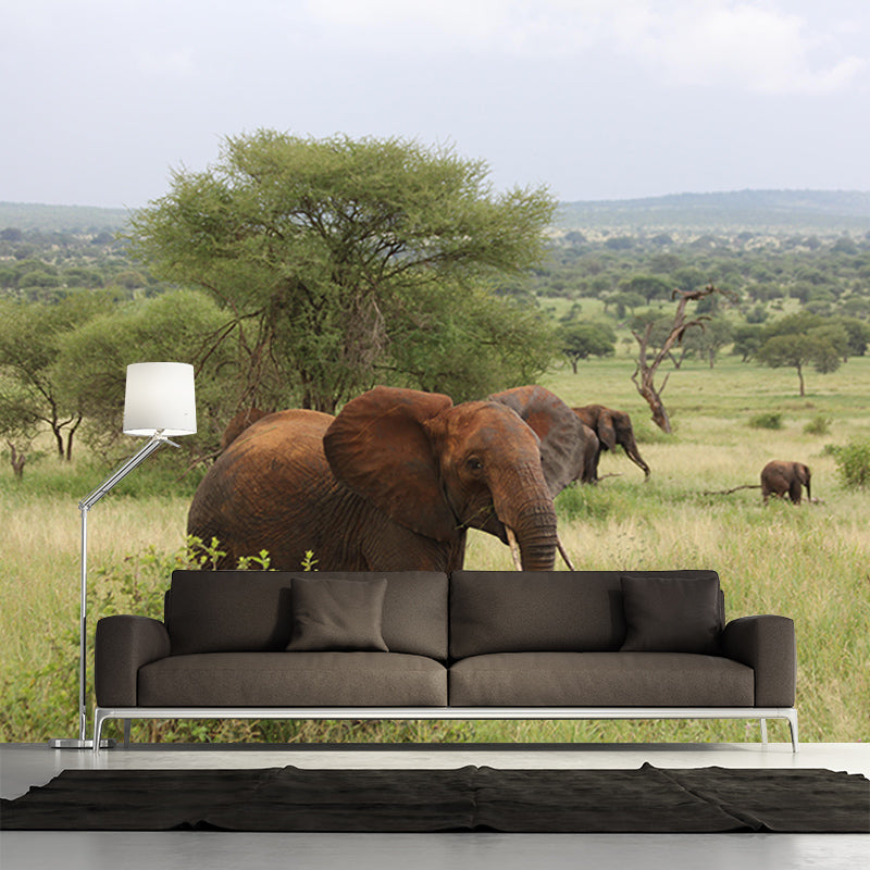 Customized Elephant Wall Mural Horizontal Photography for Sleeping Room Decoration