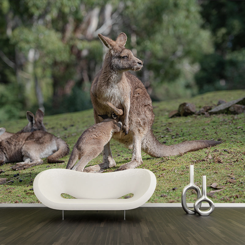 Customized Kangaroo Wall Mural Horizontal Photography for Sleeping Room Decoration