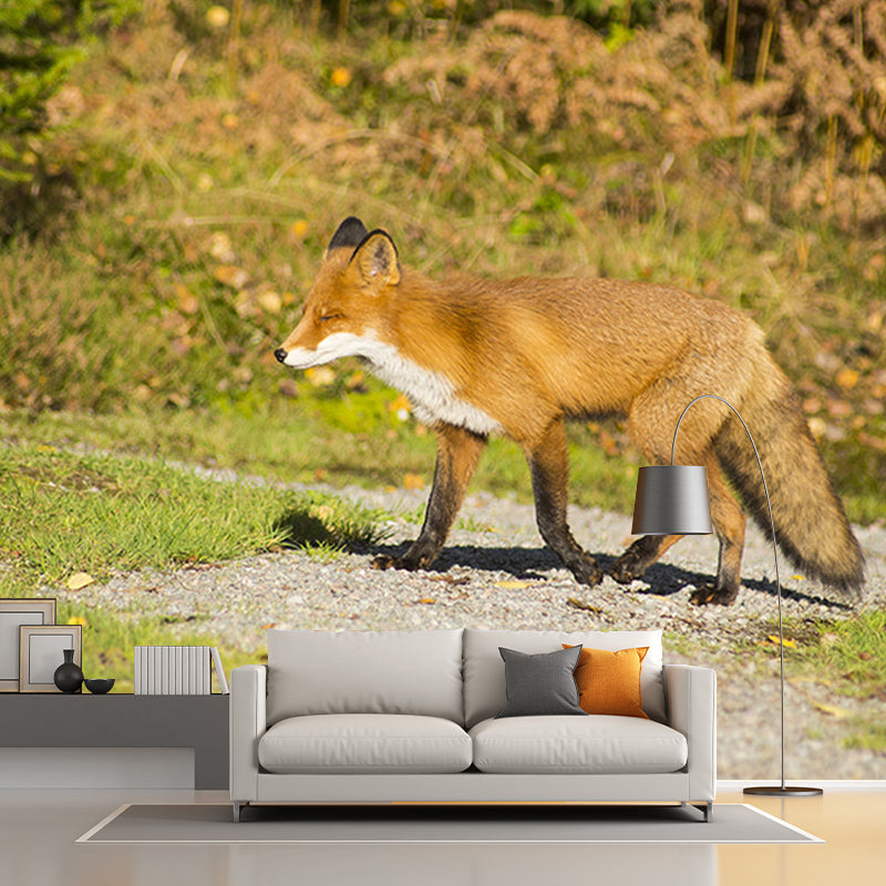 Customized Red Fox Wall Mural Horizontal Photography for Sleeping Room Decoration