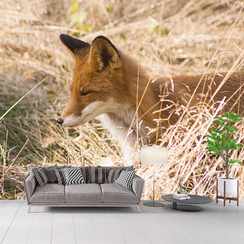 Customized Red Fox Wall Mural Horizontal Photography for Sleeping Room Decoration