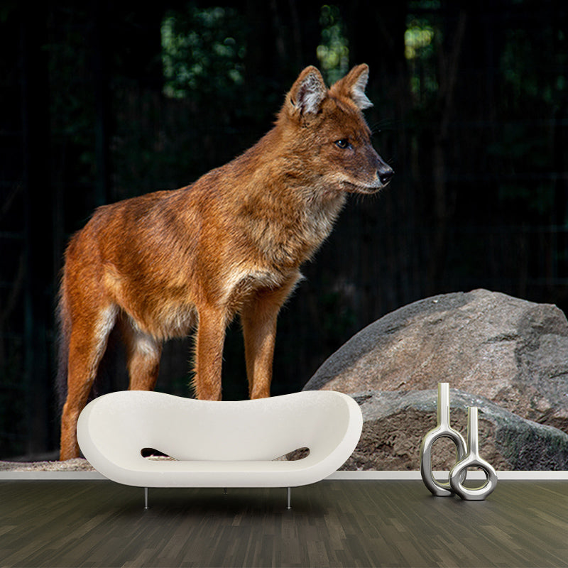 Customized Red Fox Wall Mural Horizontal Photography for Sleeping Room Decoration