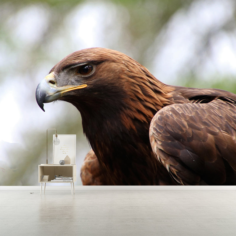 Customized Golden Eagle Mural Horizontal Photography for Sleeping Room Decoration