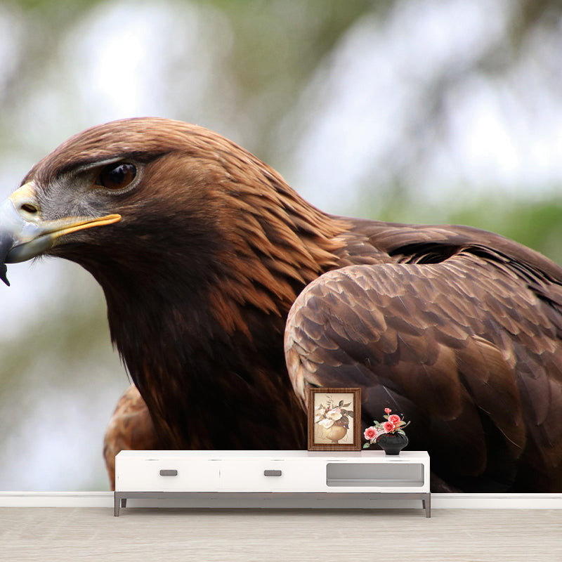 Customized Golden Eagle Mural Horizontal Photography for Sleeping Room Decoration