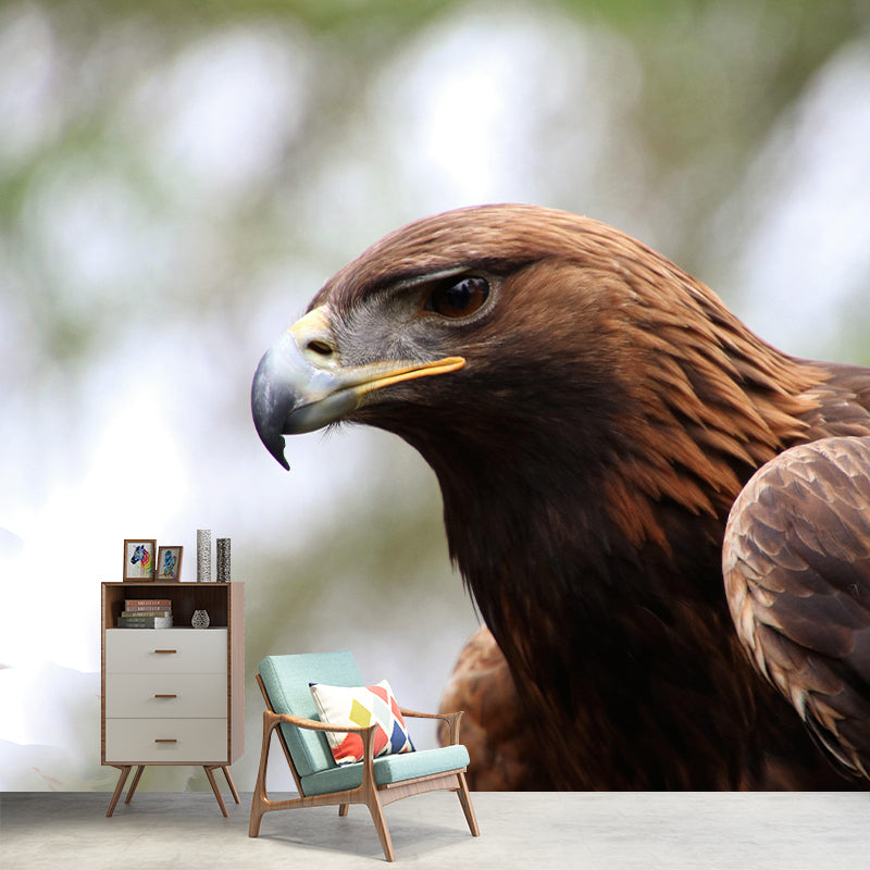 Customized Golden Eagle Mural Horizontal Photography for Sleeping Room Decoration