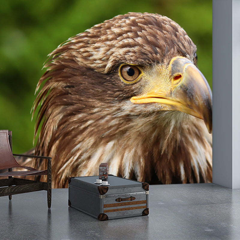 Customized Golden Eagle Mural Horizontal Photography for Sleeping Room Decoration