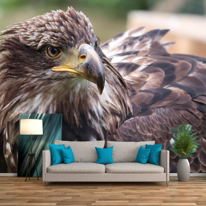 Customized Golden Eagle Mural Horizontal Photography for Sleeping Room Decoration