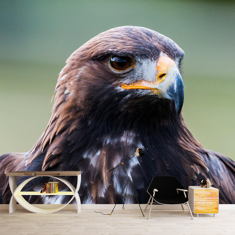 Customized Golden Eagle Mural Horizontal Photography for Sleeping Room Decoration