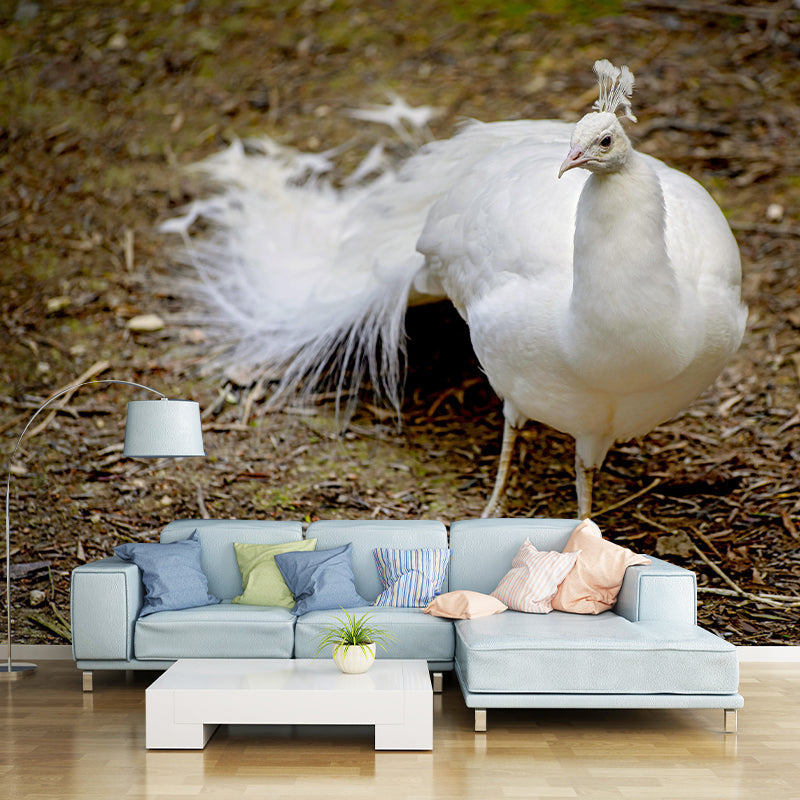 Beautiful Peacock Mural Contemporary Photography for Living Room Decoration
