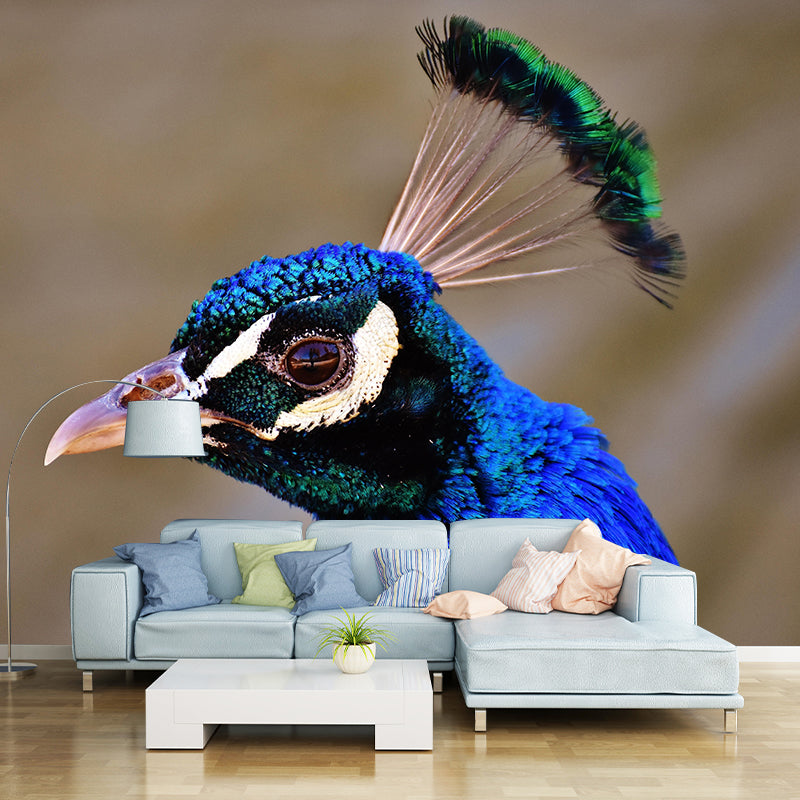 Peacock Portrait Mural Contemporary Photography for Living Room Decoration