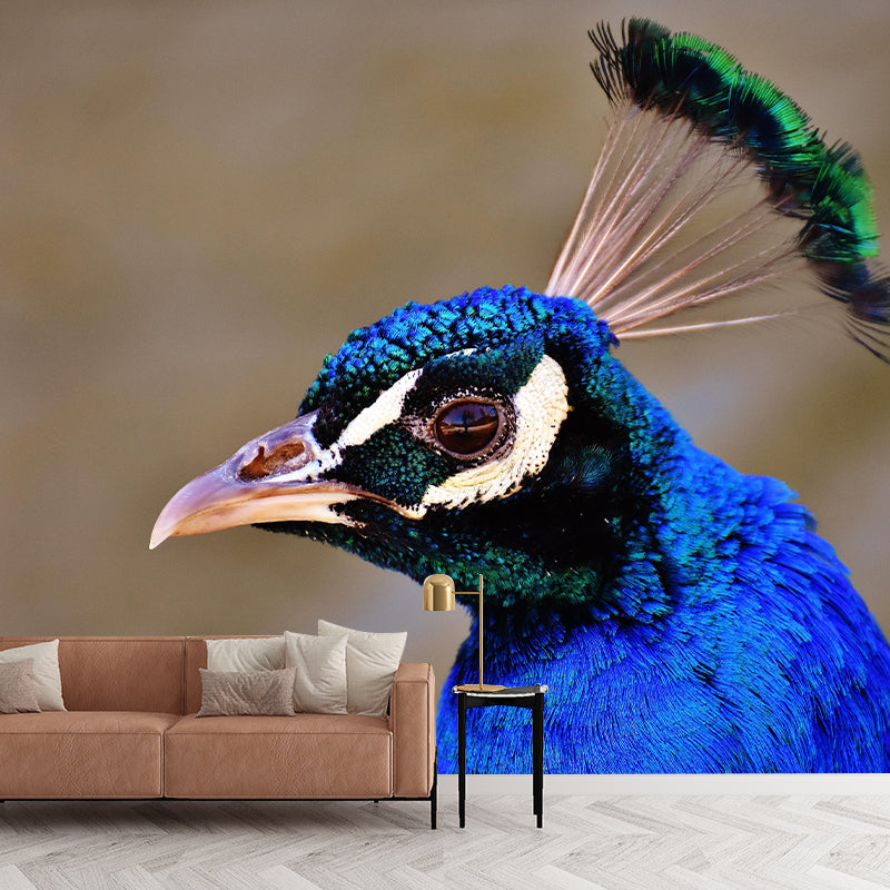 Peacock Portrait Mural Contemporary Photography for Living Room Decoration