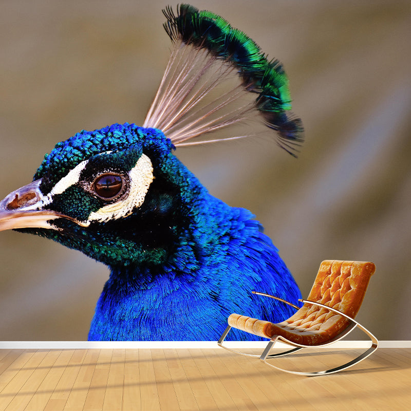 Peacock Portrait Mural Contemporary Photography for Living Room Decoration