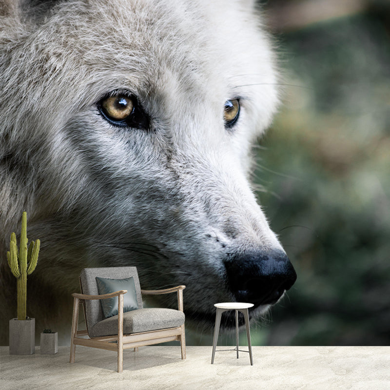 Customized Wolf Wall Mural Horizontal Photography for Sleeping Room Decoration