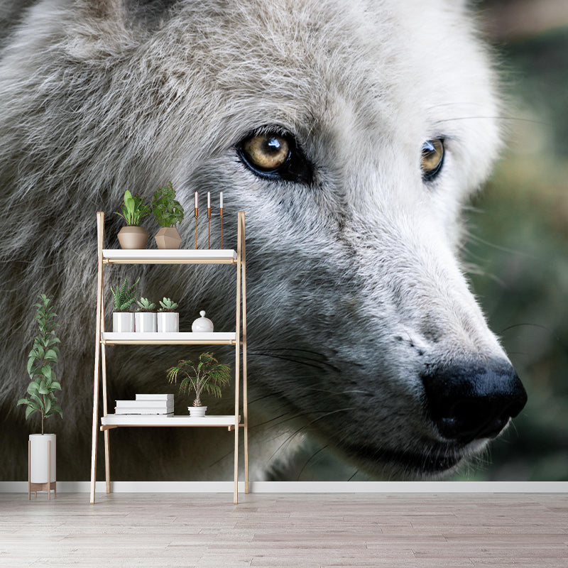 Customized Wolf Wall Mural Horizontal Photography for Sleeping Room Decoration