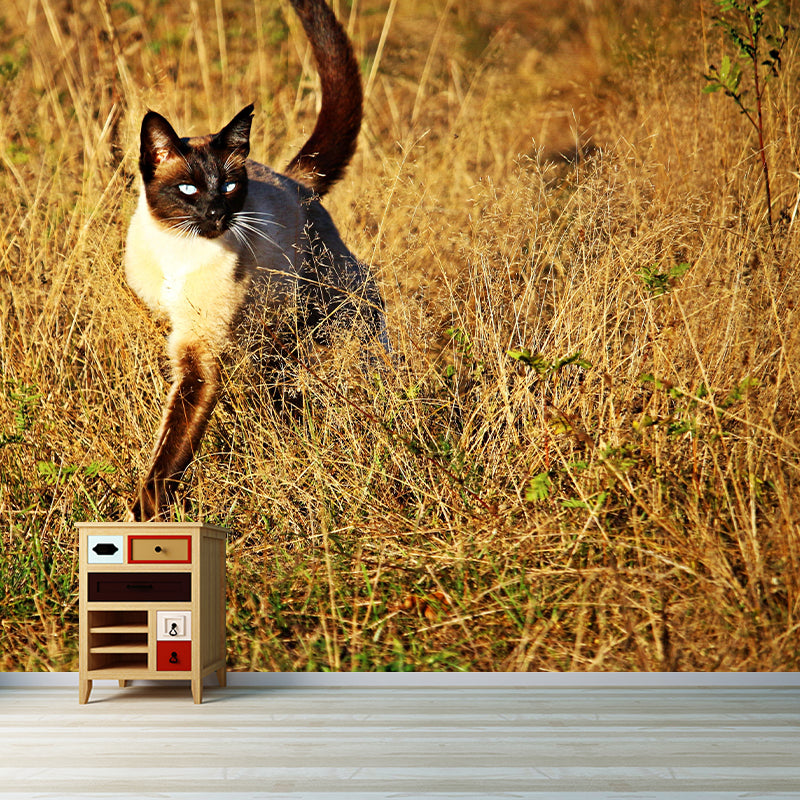 Customized Siamese Cat Wall Mural Horizontal Photography for Sleeping Room Decoration