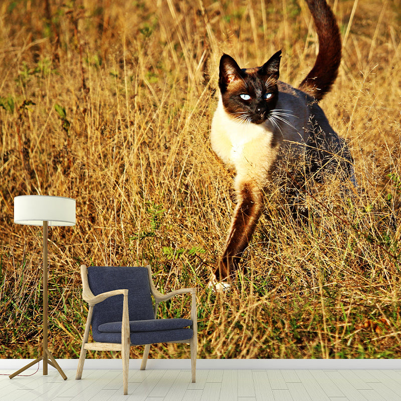 Customized Siamese Cat Wall Mural Horizontal Photography for Sleeping Room Decoration