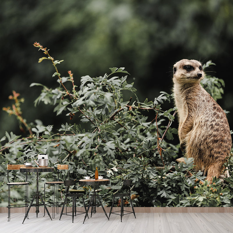 Customized Meerkat Wall Mural Horizontal Photography for Sleeping Room Decoration
