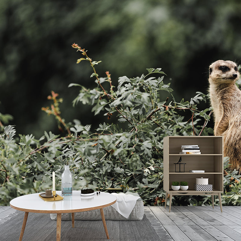 Customized Meerkat Wall Mural Horizontal Photography for Sleeping Room Decoration