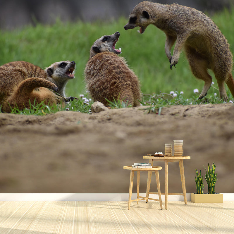 Customized Meerkat Wall Mural Horizontal Photography for Sleeping Room Decoration