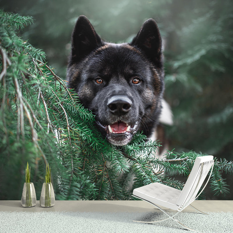 Customized Fierce Akita Wall Mural Horizontal Photography for Sleeping Room Decoration