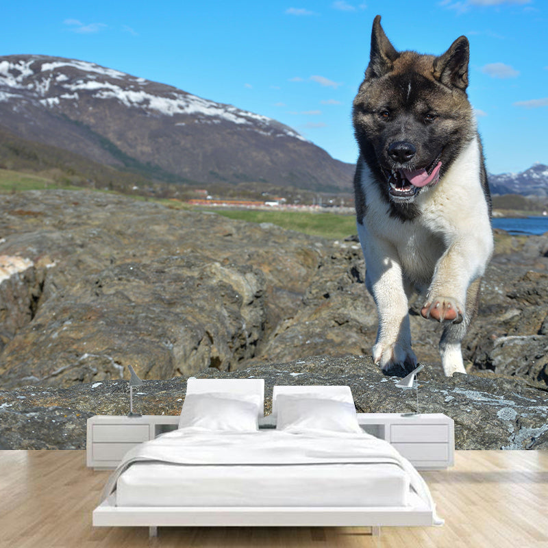 Customized Fierce Akita Wall Mural Horizontal Photography for Sleeping Room Decoration
