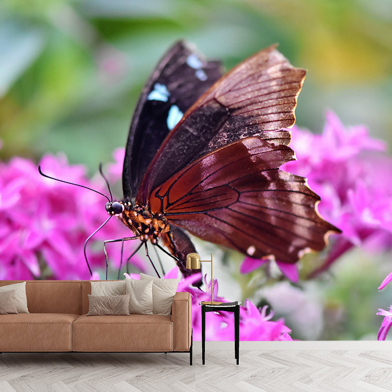 Customized Tropical Butterfly Mural Horizontal Photography for Sleeping Room Decoration