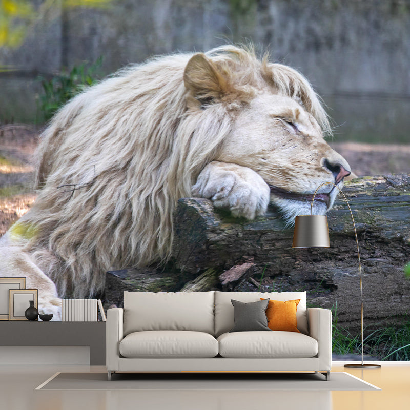 Customized Lion Wall Mural Horizontal Photography for Sleeping Room Decoration