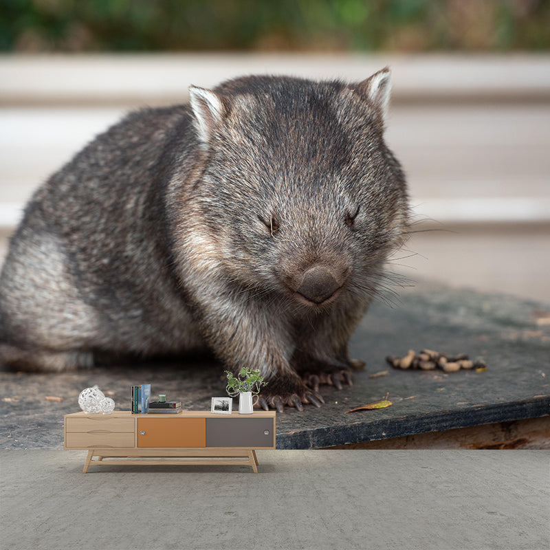 Customized Koala Wall Mural Horizontal Photography for Sleeping Room Decoration