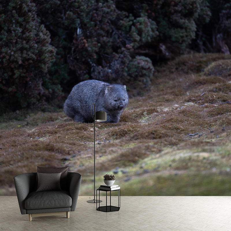 Customized Koala Wall Mural Horizontal Photography for Sleeping Room Decoration