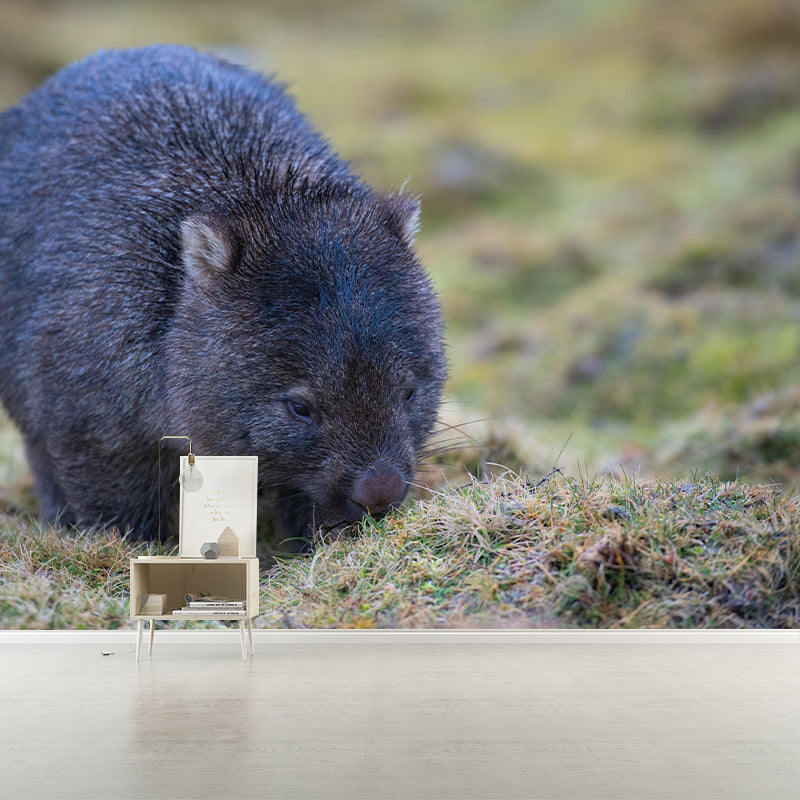 Customized Koala Wall Mural Horizontal Photography for Sleeping Room Decoration