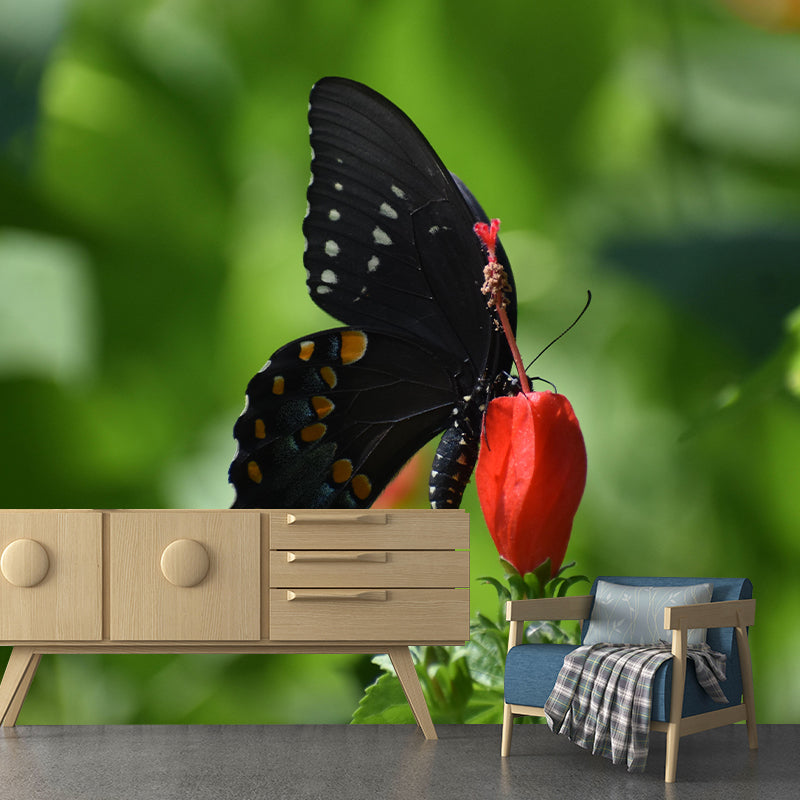 Customized Swallowtail Butterfly Mural Horizontal Photography for Sleeping Room