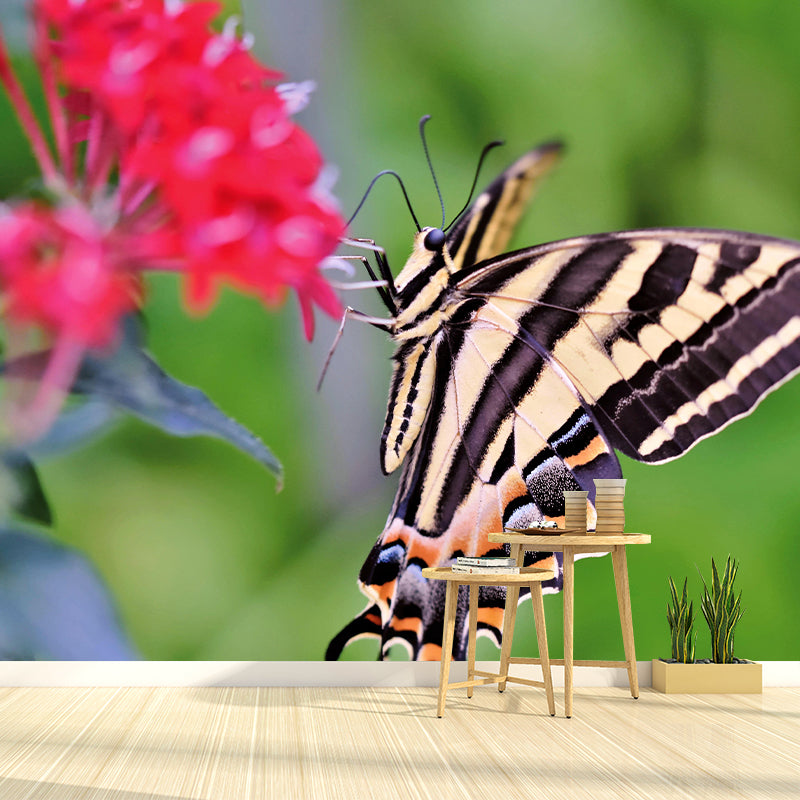 Customized Swallowtail Butterfly Mural Horizontal Photography for Sleeping Room