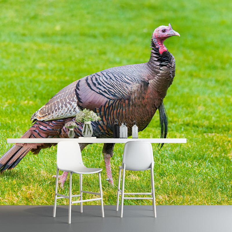 Customized Wild Turkey Wall Mural Horizontal Photography for Sleeping Room