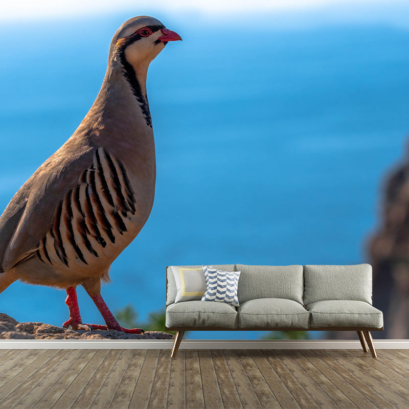 Wild Partridge Mural Contemporary Photography for Living Room Decoration